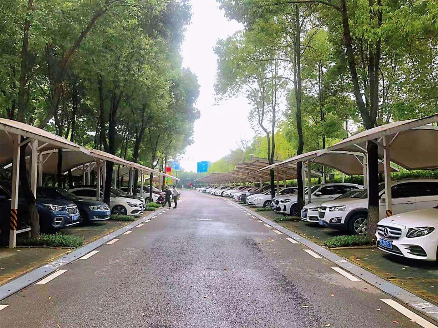 1709113328839426.jpg 123.jpg