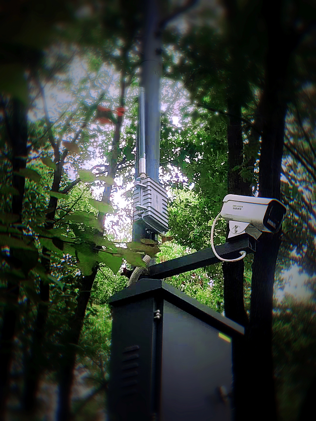 1709113595882242.jpg mceu_75725898931693280539320.jpg