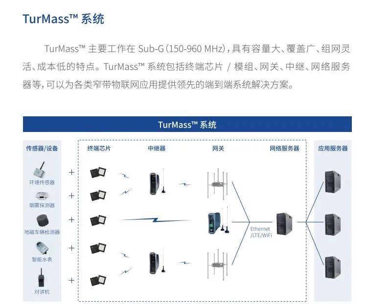 1709188094303915.jpg mceu_24153613951690954289071.jpg